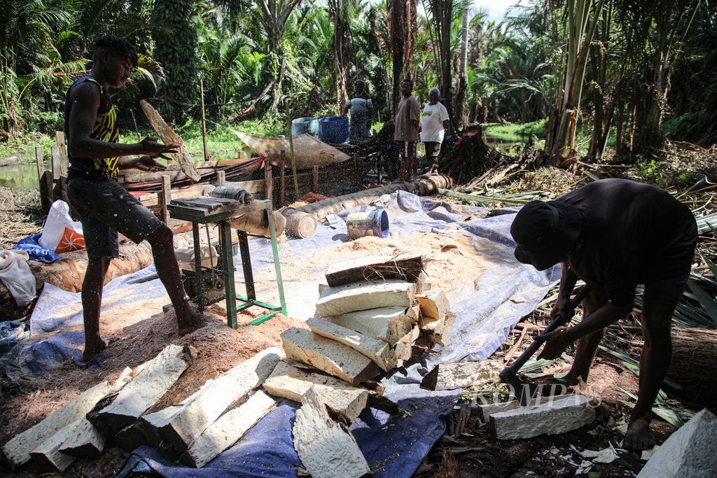 Warga memanen dan mengolah sagu yang baru dipanen di Kampung Yoboi, Distrik Sentani, Kabupaten Jayapura, Papua, Jumat (26/7/2024).  