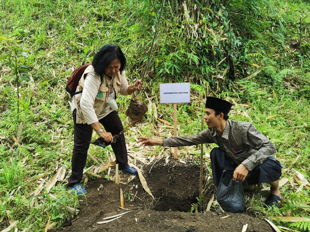 Peneliti bambu tabah dari Universitas Udayana, Pande Ketut Diah Kencana (kiri), menanam bibit bambu tabah pada kegiatan “Pelestarian Hutan melalui Budaya Tanaman Bambu Tabah” yang diselenggarakan Yayasan Kehati bekerja sama dengan Balai Penerapan Standar Instrumen Lingkungan Hidup dan Kehutanan (BPSILHK), dan Koperasi Syariah Wana Makmur Lestari serta didukung CIMB Niaga di Kawasan Hutan dengan Tujuan Khusus (KHDTK) Rarung, Pringgarata, Lombok Tengah, Sabtu (24/9/2022). Sejak 2015, dimulai budidaya bambu tabah di kawasan itu untuk tujuan konservasi sekaligus pengembangan produk turunan bernilai ekonomi bagi masyarakat.