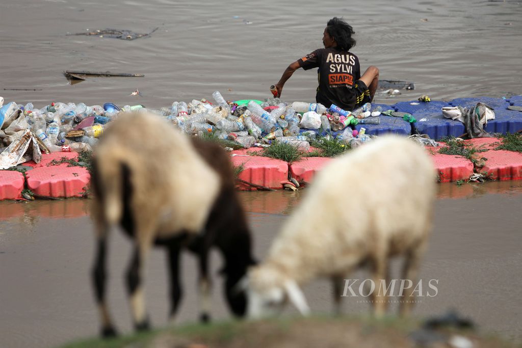 Pemulung mengumpulkan botol plastik yang tersangkut di pelampung penangkap sampah di Kanal Banjir Barat, Jakarta, Minggu (12/1/2020). Botol plastik menjadi salah satu incaran pemulung karena memiliki nilai ekonomi. 