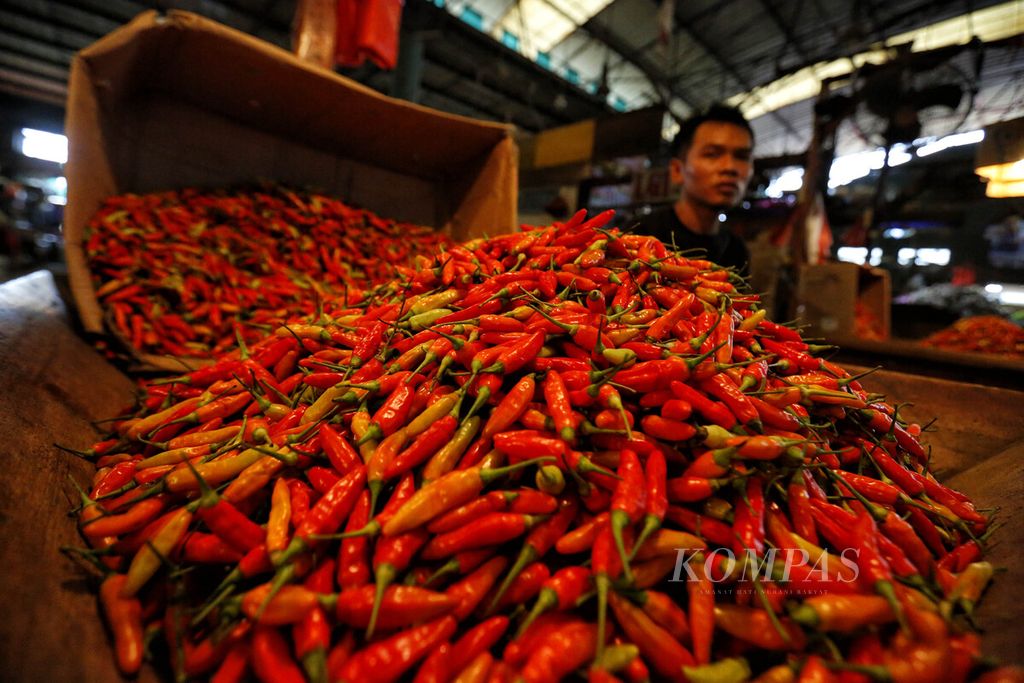 Pedagang menunggui cabai rawit merah yang dijualnya di Pasar Induk Kramatjati, Jakarta, Kamis (23/3/2023). Sejumlah bahan pangan harganya tinggi. Seperti cabai rawit merah ini harganya di pasar induk masih berkisar Rp 70.000-Rp 75.000 per kilogram.