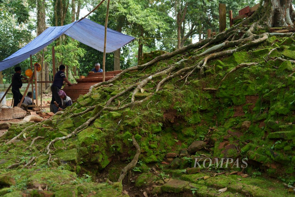 Struktur bangunan di antara akar pepohonan di kompleks pemugaran Candi Kotomahligai Desa Danau Lamo, Kecamatan Maro Sebo, Muaro Jambi, Jambi, Selasa (7/5/2024). 