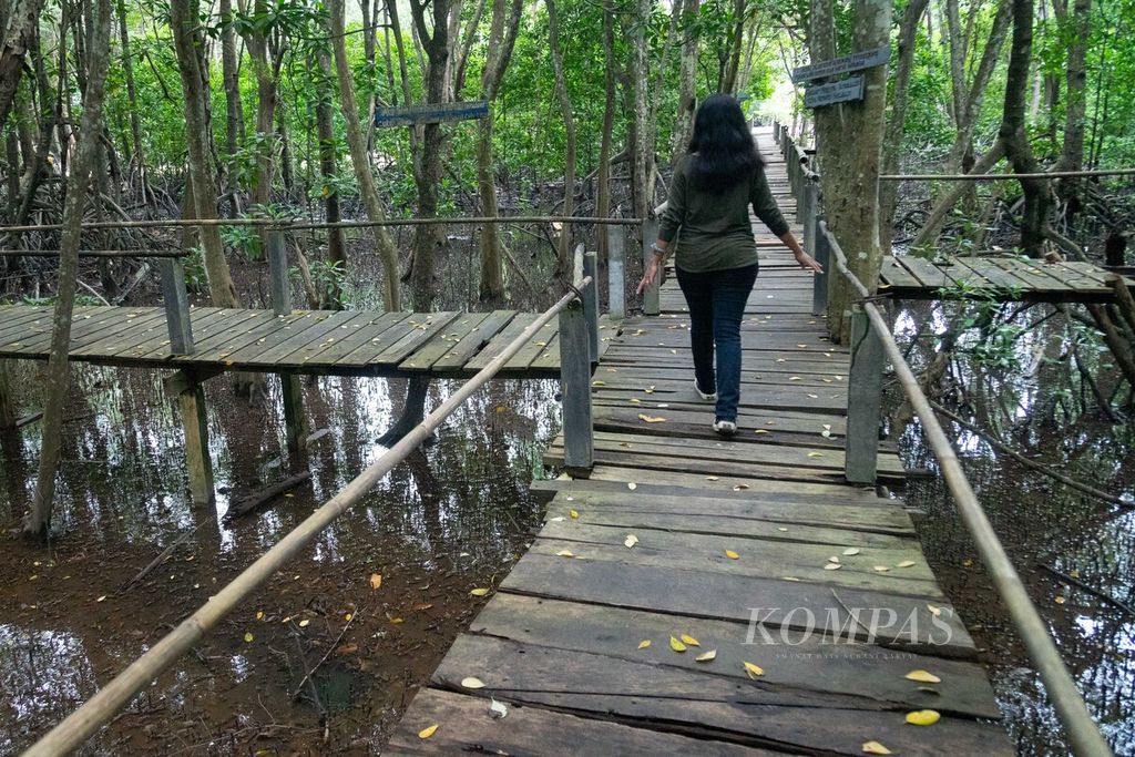Seorang wisatawan melintas di dalam hutan bakau di Kampung Tua Bakau Serip, Kota Batam, Kepulauan Riau, Sabtu (8/10/2022).