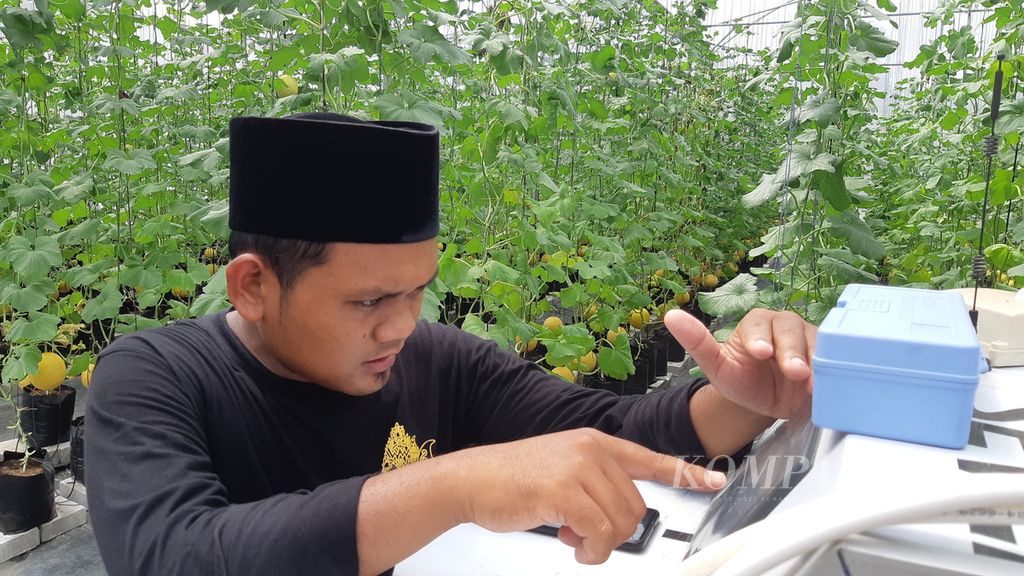 Santri di Pondok Pesantren Darul A'mal Kota Metro, Lampung, membantu budidaya melon <i>inthanon</i> yang dikembangkan dalam rumah kaca, Kamis (4/8/2022). Budidaya melon di pondok pesantren tersebut telah menerapkan teknologi digital.