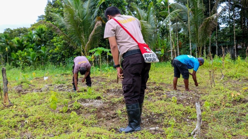 Anggota Binmas Noken Operasi Damai Cartenz membantu pembersihan lahan kebun milik Hendrikus Maubak di Distrik Kwanki Narama, Kabupaten Mimika pada tahun 2022.