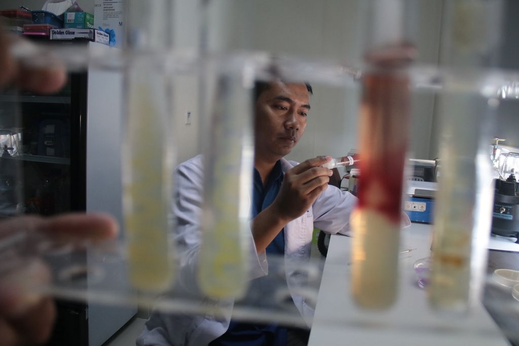 Peneliti dari Ma Chung Research Cetre for Photosyntetic Pigments (MRCPP) Universitas Ma Chung, Edi Setiyono, menunjukkan antibiotik alami temuannya pada Senin (3/2/2020) di Laboratorium Mikrobiologi Universitas Ma Chung. Antibiotik alami hasil temuan tersebut diyakini lebih aman daripada antibiotik sintetis yang selama ini digunakan.