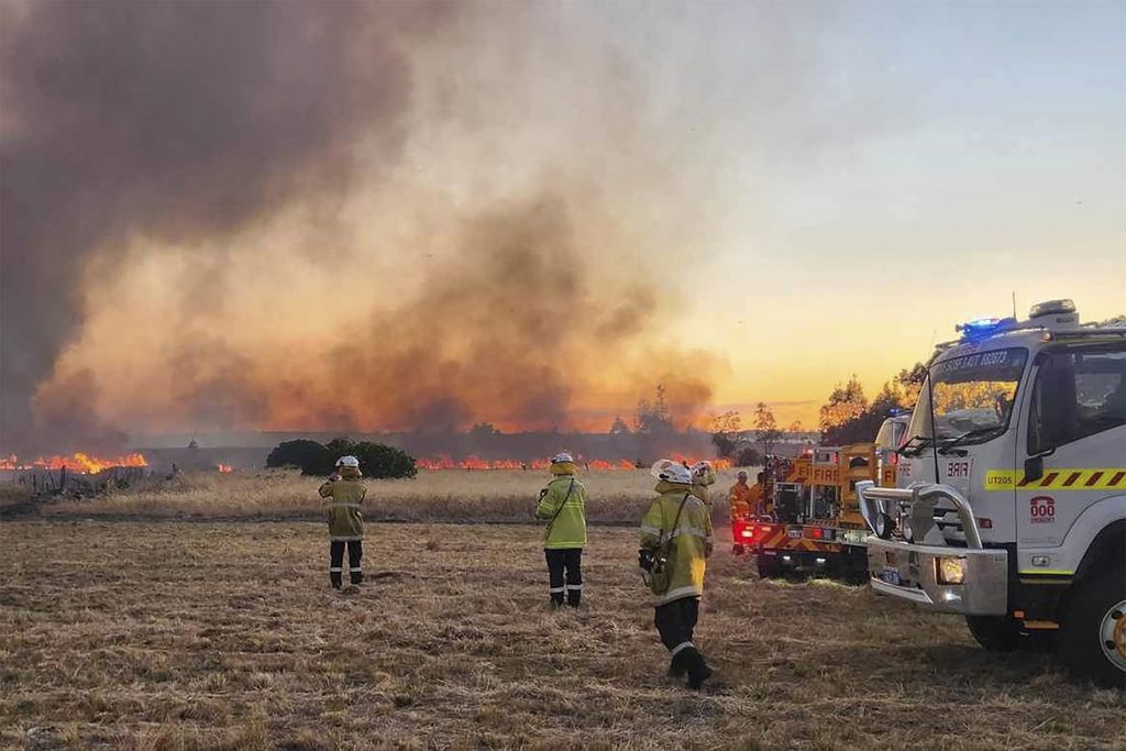 Petugas pemadam kebakaran tengah mengamati hamparan rumput yang terbakar di Wannaroo, Perth bagian utara pada Kamis (23/11/2023). 