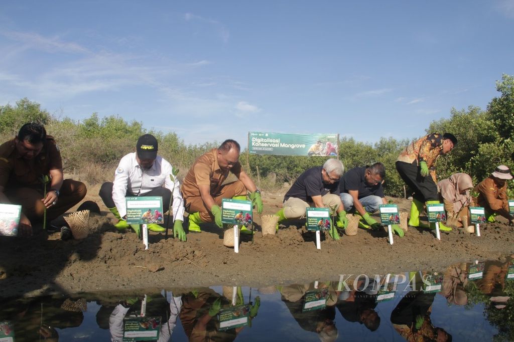 Indosat Ooredoo Hutchison bekerja sama dengan Dinas Perikanan dan Kelautan Aceh serta Universitas Syiah Kuala menanam bibit mangrove di Lampulo, Kota Banda Aceh, Senin (22/4/2024).
