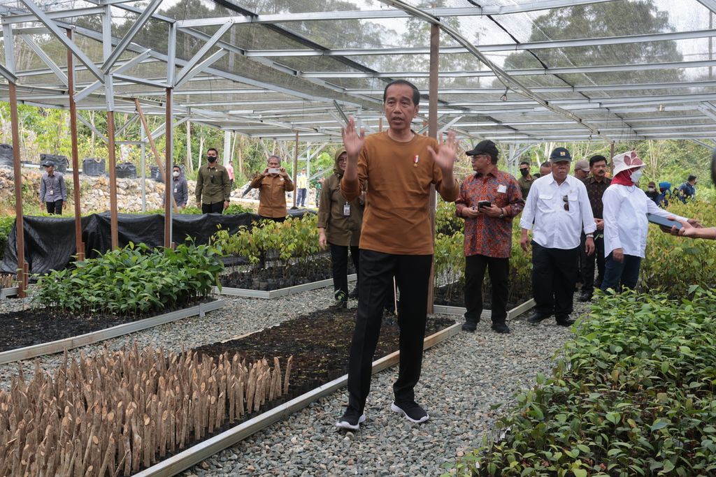 Persemaian Mentawir terus ditingkatkan kapasitasnya sembari memproduksi bibit. Bibit yang disiapkan antara lain pepohonan endemik Kalimantan dan tanaman buah-buahan. Foto diambil Kamis (23/2/2023).