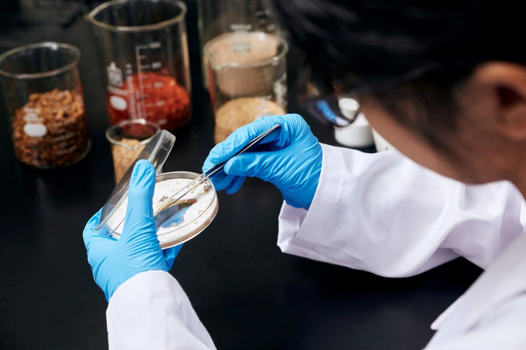 Laboratorium Mycotech yang memproduksi kulit berbahan jamur yang 90 persennya dieskpor. 