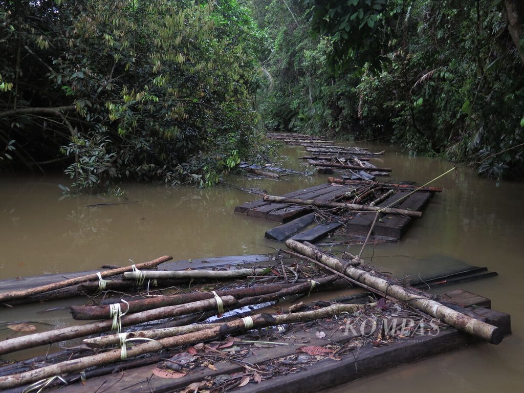 Kayu-kayu pembalakan liar dialirkan lewat Sungai Kapas di Hutan Harapan, perbatasan Jambi dan Sumatera Selatan, November 2014.