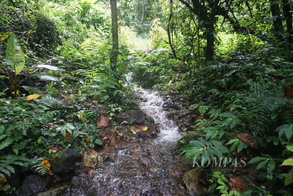 Sebuah sungai kecil di wilayah hutan Taman Nasional Bogani Nani Wartabone di pinggiran Desa Mengkang, Kecamatan Lolayan, Bolaang Mongondow, Sulawesi Utara, Jumat (15/7/2022). Desa Mengkang begitu kaya akan air sehingga warga bisa memanfaatkannya untuk membangkitkan listrik.