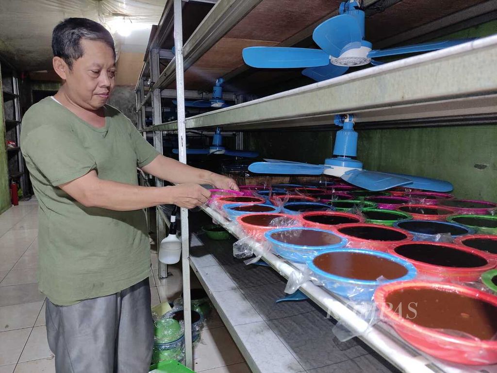 Satibi mengecek dodolnya di Cilodong, Depok, Jawa Barat, (24/4/2023). Penganan itu diproduksi dengan melibatkan tenaga setempat, termasuk warga Betawi.