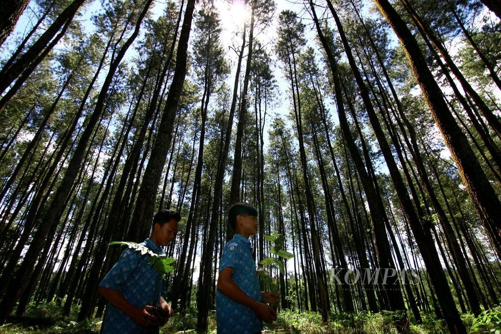 Perum Perhutani Kesatuan Pemangkuan Hutan Banyuwangi Barat bekerja sama dengan warga membuka usaha berbasis ekowisata di lahan milik Perhutani, Rabu (26/4/2017).