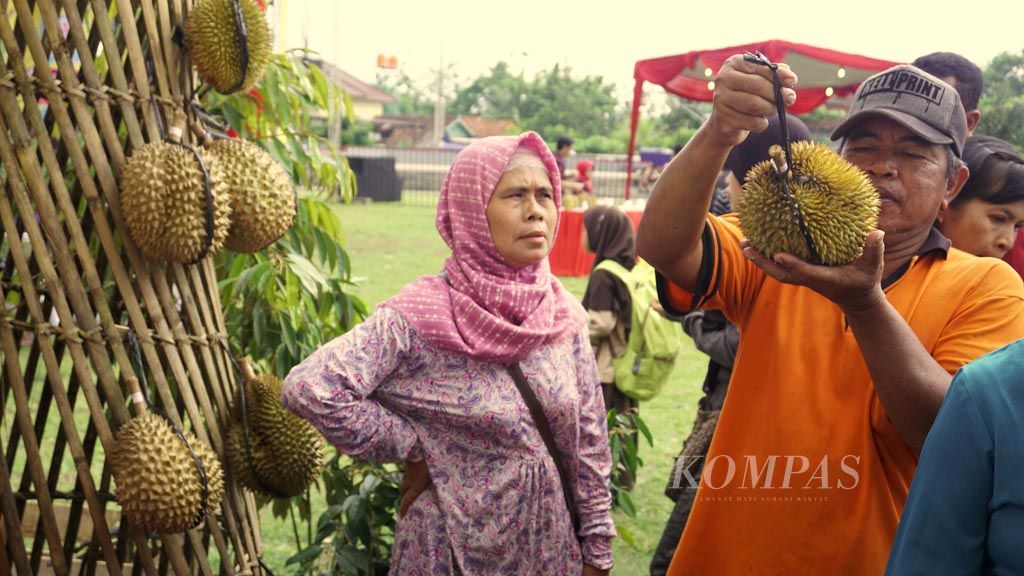 Warga sedang melihat dan memilih durian pada Festival Durian, Sabtu (9/12) di Alun-alun Banyumas, Jawa Tengah. Festival yang digelar hingga Minggu (10/12) ini menjadi sarana promosi durian Banyumas. Durian unggul di Banyumas adalah varietas kromo banyumas yang memiliki ciri daging buah tebal, manis, legit, dan aromanya tidak tajam.