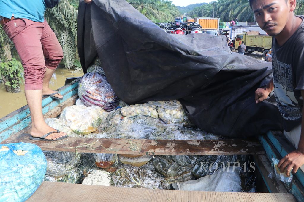 Sopir menunjukkan sayuran yang membusuk di bak truknya, Minggu (6/11/2022), akibat terjebak macet selama 6 hari di Jalan Medan-Banda Aceh akibat banjir di sejumlah titik di Kabupaten Aceh Tamiang, Aceh. 