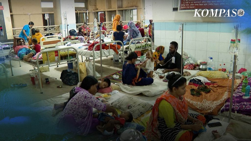 Bangladesh dilanda wabah demam berdarah yang merebak sejak awal tahun. Direktorat Jenderal Pelayanan Kesehatan (DGHS) Bangladesh yang disiarkan pada Minggu (1/10/2023) mendata, jumlah pasien yang meninggal akibat demam berdarah sebanyak 1.006 orang. Angka kematian itu berasal dari 200.000 kasus yang terkonfirmasi.