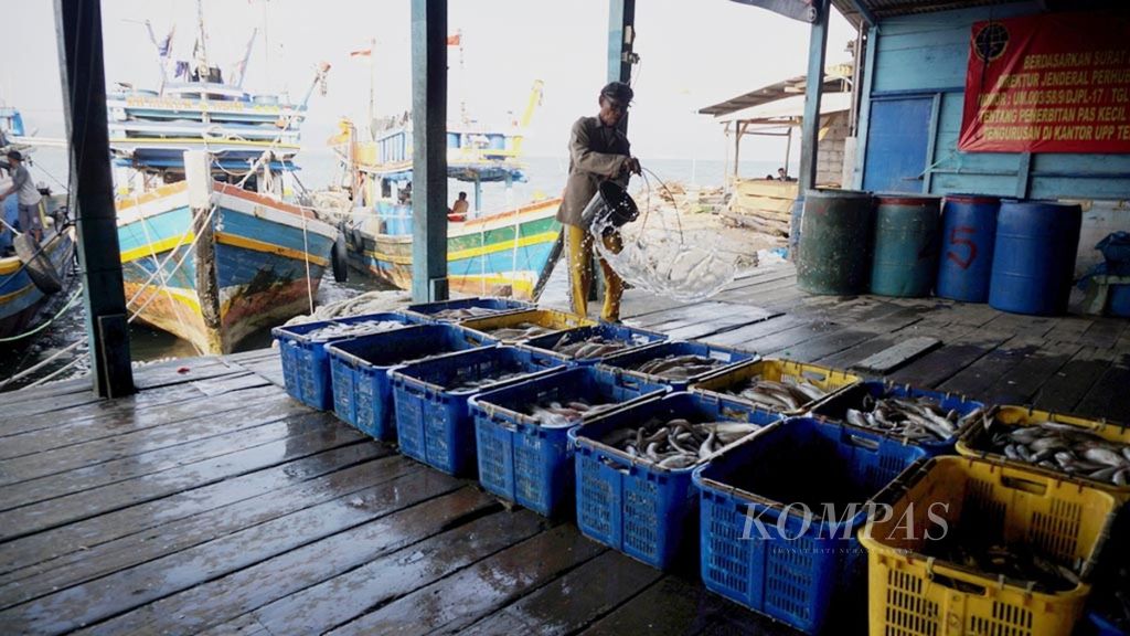 Nelayan mengumpulkan ikan tangkapan di tempat pendaratan ikan di kawasan Gudang Lelang, Kecamatan Teluk Betung Selatan, Kota Bandar Lampung, Lampung (24/7/2018). Pemerintah menetapkan tarif baru penerimaan negara dari sektor perikanan melalui PP 85/2021. Kapal dengan kapasitas 5 GT milik nelayan kecil ikut dikenai pajak.  
