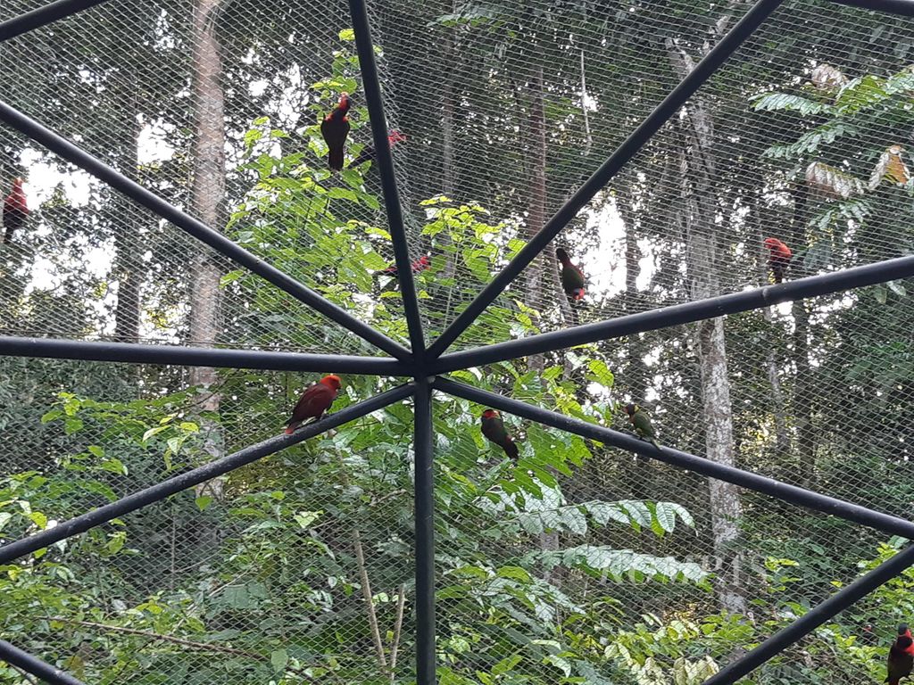 Kandang untuk satwa burung endemik yang diselamatkan dari upaya penyelundupan di Taman Wisata Alam Sorong, Papua Barat Daya. Fasilitas Taman Wisata Alam Sorong dimiliki oleh Balai Besar Konservasi Sumber Daya Alam Papua Barat.