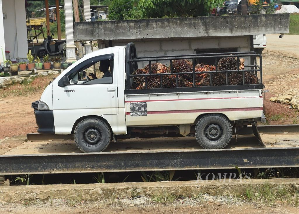 Mobil bak terbuka yang mengangkut sawit petani setempat ditimbang saat di pengepulan di Desa Bukit Raya, Kecamatan Sepaku, Kabupaten Penajam Paser Utara, Kalimantan Timur, Rabu (27/7/2022). 