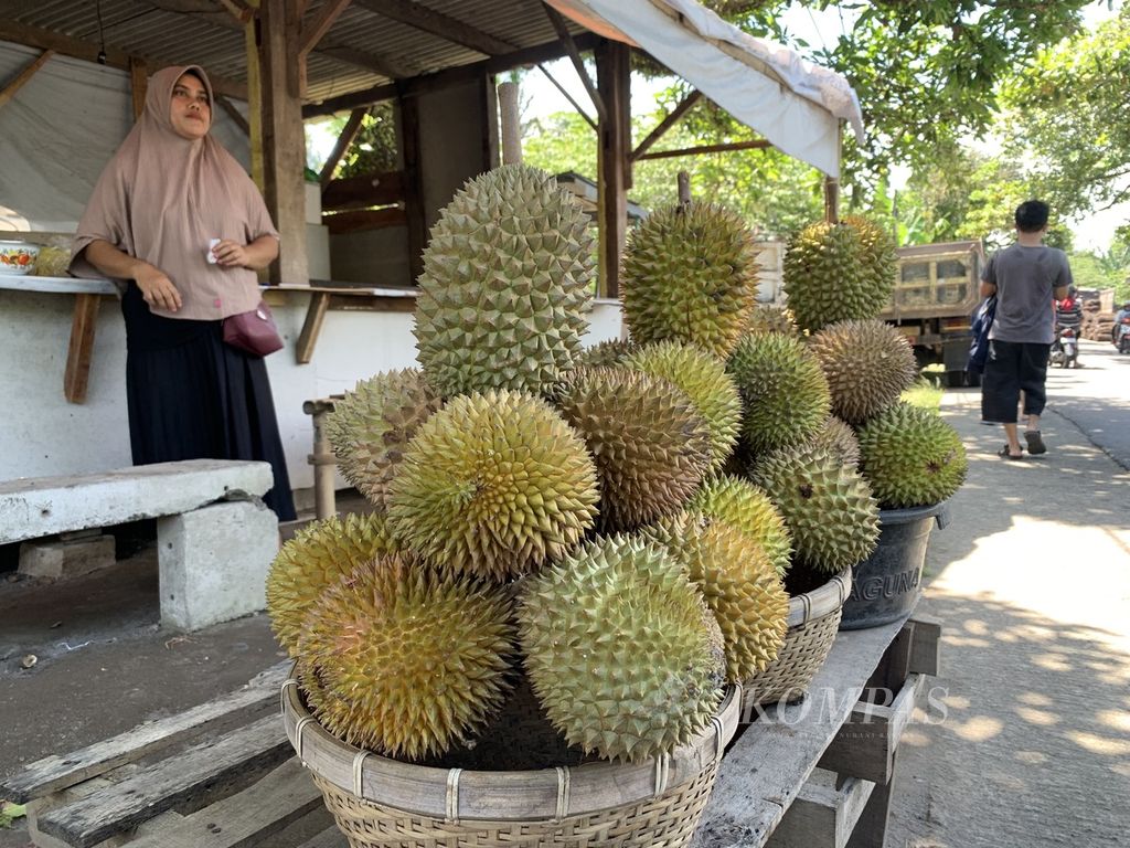 Pengecer durian di kawasan Kekait, Lombok Barat, Nusa Tenggara Barat, seperti terlihat Minggu (22/1/2023).
