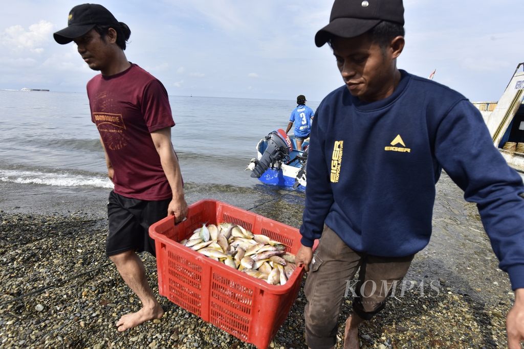 Nelayan menurunkan keranjang berisi ikan dari perahu motor di Desa Kawasi, Pulau Obi, Halmahera Selatan, Maluku Utara, Minggu (26/11/2023). 