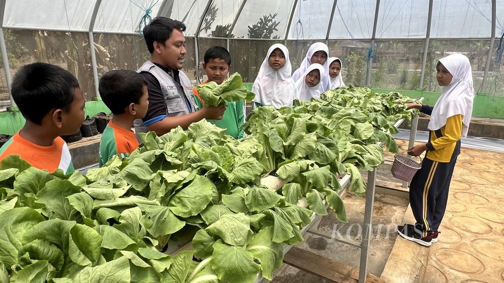 Di rumah kaca yang dikembangkan Pemerintah Desa Doudo, yang sejak 2018 mendapat pendampingan dari PT Pertamina EP Poleng Field, Jumat (13/9/2024), juga dikembangkan tanaman sawi, kangkung, terong, dan kacang panjang.