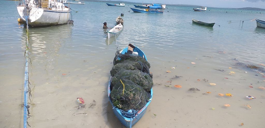 Bibit rumput laut disimpan dalam perahu untuk diikat pada tali yang sedang disiapkan petani rumput laut, Senin (23/3/2023). Selama 45 hari, rumput laut itu bisa dipanen.