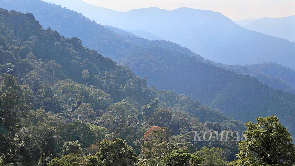 Pemandangan  hutan Leuser yang menjadi andalan wisata desa penyangga di Kabupaten Gayo Lues,  Aceh, Sabtu (10/3)
