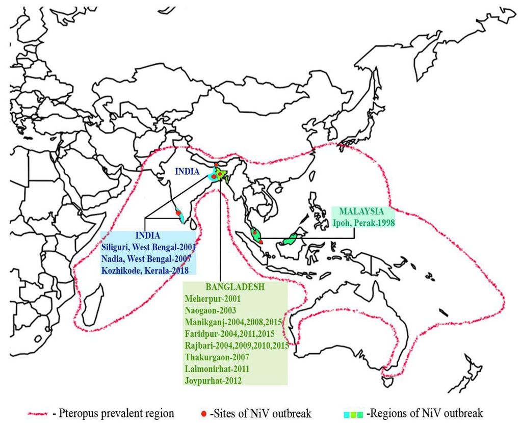 Peta wabah virus Nipah (NiV) dan sebaran kelelawar buah Pteropus. Dalam peta, lokasi wabah NiV di India, Bangladesh, dan Malaysia digambarkan dengan warna berbeda. Wilayah umum kelelawar pteropus (pembawa utama NiV) dibatasi oleh garis titik-titik merah. Sumber: Vinod Soman Pillai, dkk. (Jurnal <i>MDPI</i>, 2020)