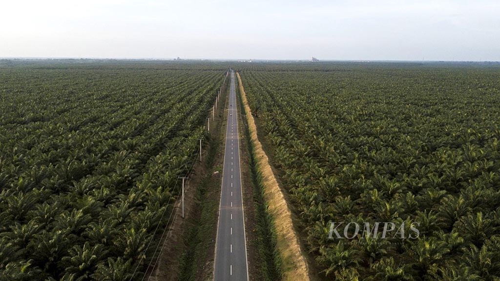 Hamparan perkebunan kelapa sawit di kawasan Sei Mangkei, Kecamatan Bosar Maligas, Simalungun, Sumatera Utara, Senin (12/3/2018). Sawit berkontribusi besar pada pendapatan sektor perkebunan.