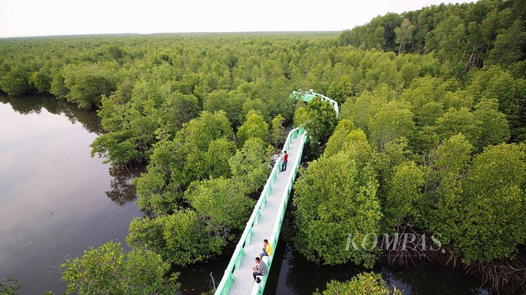 Suasana hutan mangrove di kawasan Kuala Langsa, Kota Langsa. Pemerintah setempat terus merawat dan menjaga kelestarian lingkungan hutan itu sebagai penyeimbang alam dan tempat rekreasi masyarakat setempat.
