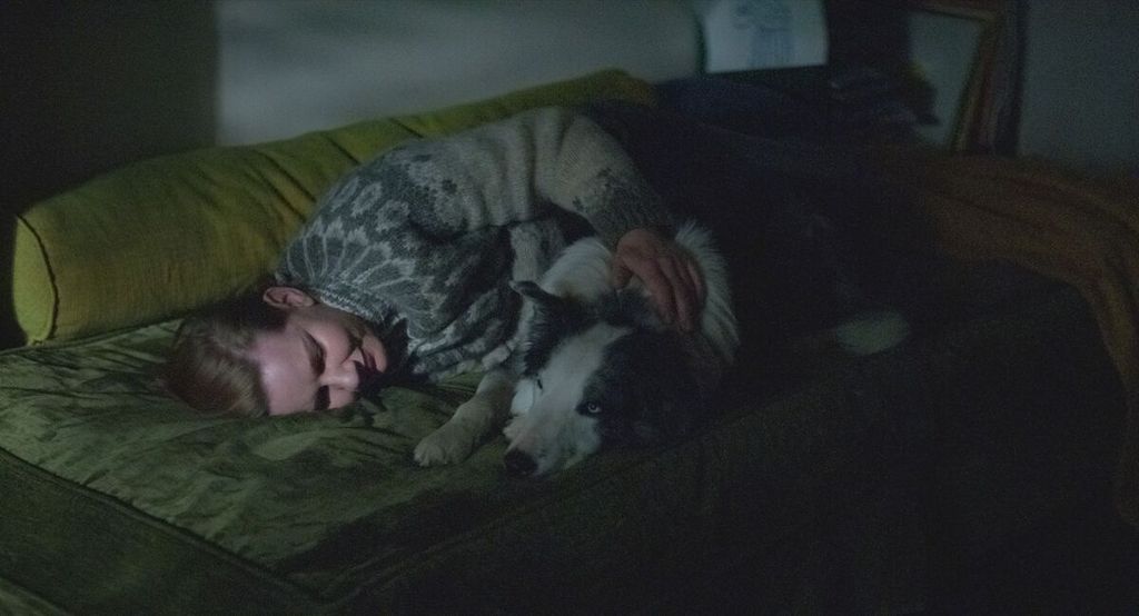 Sandra (Sandra Hüller) dan Snoop, anjing keluarga, tidur di ruang kerja sang suami.