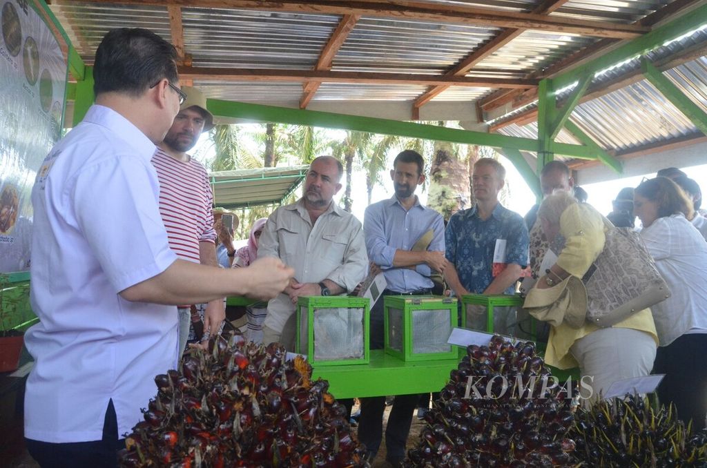 Delegasi Uni Eropa yang diketuai Duta Besar Uni Eropa untuk Indonesia Vincent Guerend (batik biru) mengunjungi pengelolaan perkebunan kelapa sawit berkelanjutan di perkebunan Tungkal Ulu, Kabupaten Tanjung Jabung Barat, Jambi, Senin (16/4/2018). Kegiatan yang difasilitasi Kementerian Luar Negeri itu bertujuan untuk memaparkan fakta pengelolaan sawit berkelanjutan secara langsung kepada Uni Eropa.