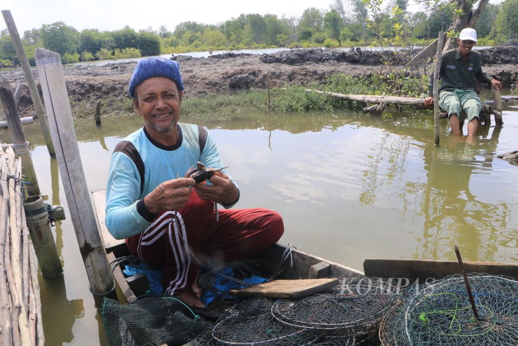 Junaidi (62), nelayan, menunjukkan hasil tangkapan kepiting bakau dari hutan mangrove di Desa Tanjung Rejo, Kecamatan Percut Sei Tuan, Kabupaten Deli Serdang, Sumatera Utara, Selasa (22/11/2022). 