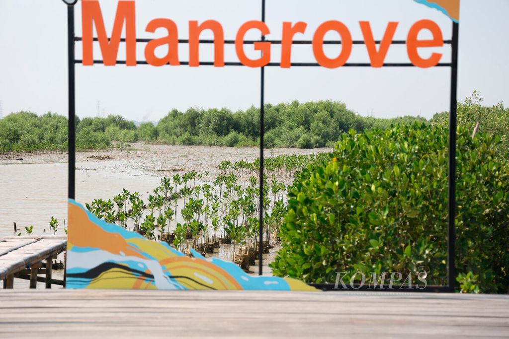Kawasan mangrove yang menjadi bagian untuk dipertahankan ketika proyek pembangunan Jalan Tol Semarang-Demak berjalan di Kecamatan Sayung, Kabupaten Demak, Jawa Tengah, Rabu (14/6/2023). 