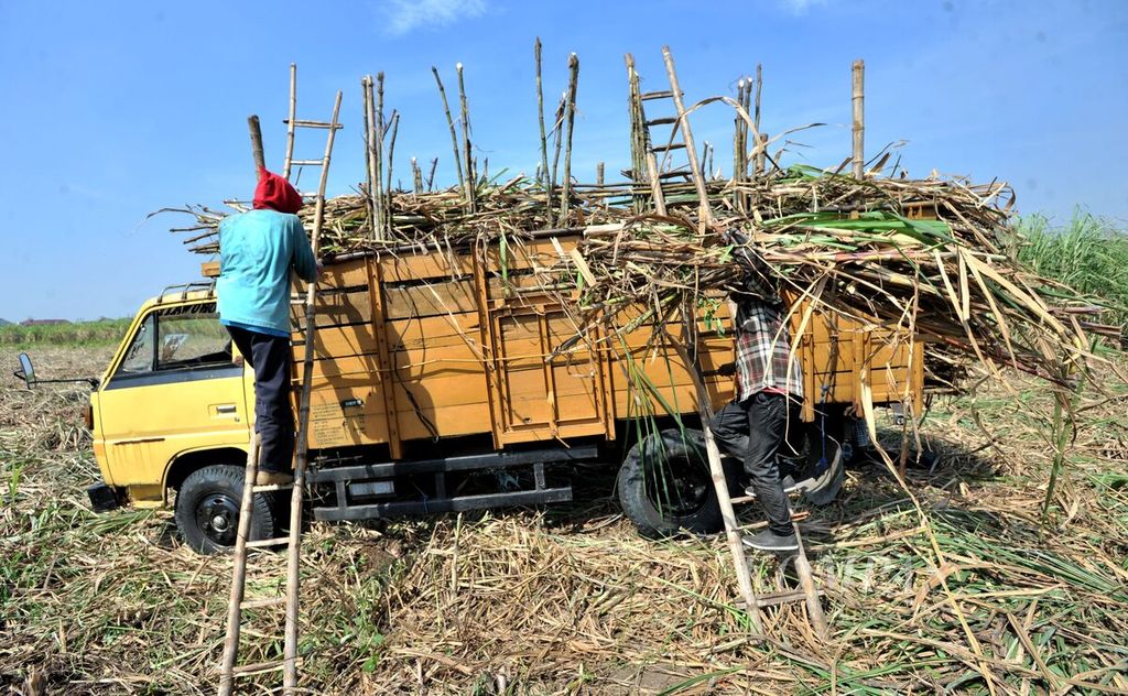Buruh memasukkan batang tebu yang baru dipanen ke atas truk di Kecamatan Waru, Sidoarjo, Jawa Timur, Sabtu (11/7/2020). Tebu-tebu yang dipanen untuk memenuhi produksi gula di PG Candi Baru di Sidoarjo.