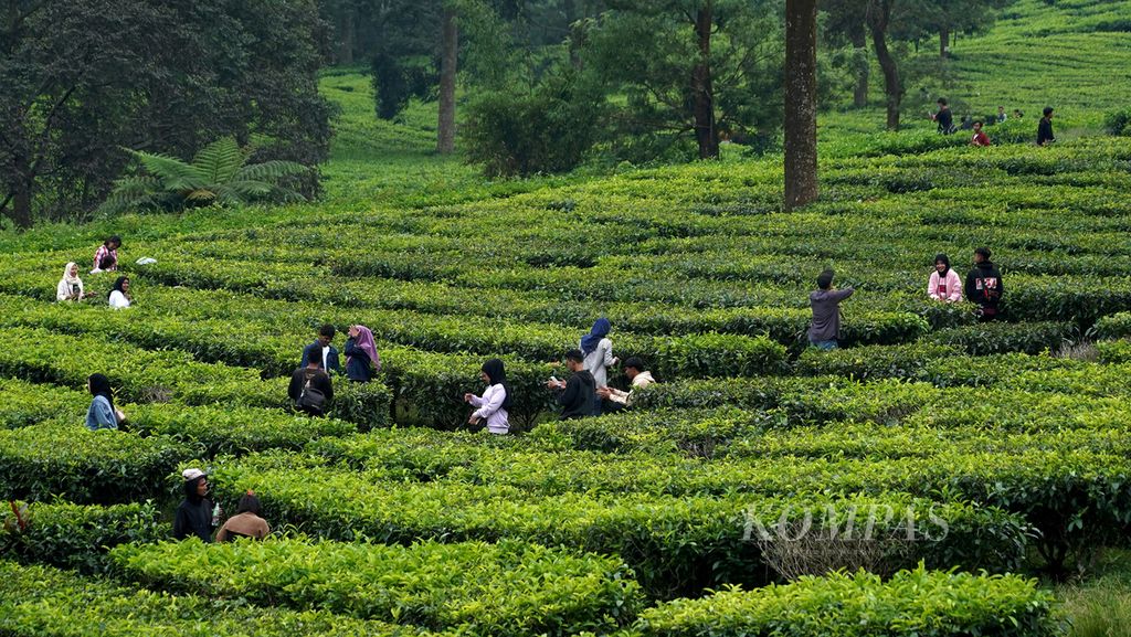 Residents went on a vacation to a tea plantation in Puncak, Bogor Regency, West Java, during Eid holiday on Wednesday (4/5/2022).