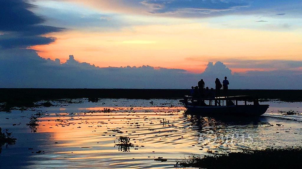 Perahu kelotok  menyusuri Rawa Daha di Desa Pandak Daun, Kecamatan Daha Utara, Kabupaten Hulu Sungai Selatan, Kalimantan Selatan. 