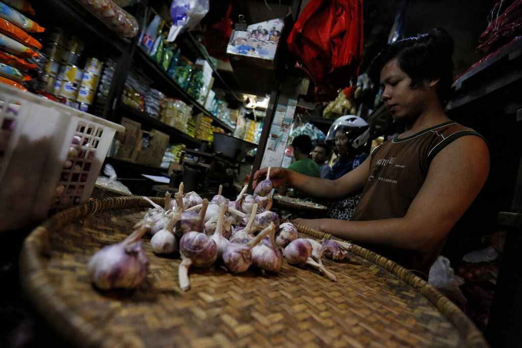 Pedagang menyeleksi bawang putih impor sembari menunggu pembeli di Pasar Senen, Jakarta, Rabu (8/3/2023). Saat ini harga bawang putih di tempat tersebut mencapai Rp 40.000 per kilogram. 