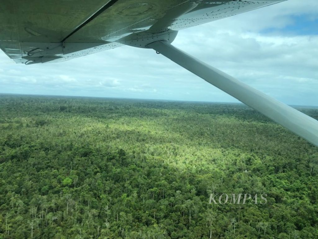 Hutan yang membentang di kawasan Boven Digoel, Papua, dilihat dari pesawat perintis yang baru lepas landas dari bandara di Distrik Bomakia.