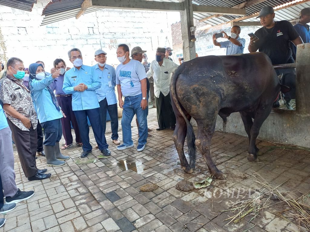 Bupati Bantul Abdul Halim Muslih (ketiga dari kanan) meninjau tempat penjualan sapi di Desa Segoroyoso, Kecamatan Pleret, Kabupaten Bantul, Daerah Istimewa Yogyakarta, Selasa (14/6/2022). 