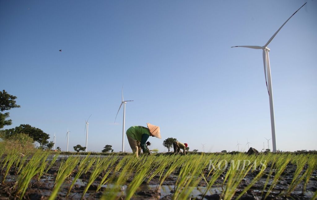 Farmers begin planting season near the row of wind turbines of the Tolo I Wind Power Plant (PLTB) in Jeneponto, South Sulawesi, on Sunday (23/6/2019). There are 20 wind turbines at PLTB Tolo, each with a capacity of 3.6 MW. Each tower has a height of 138 meters with a blade length of 64 meters.