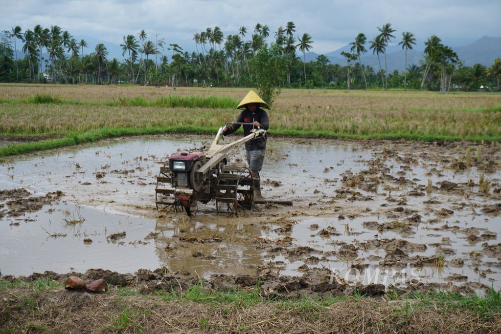 Petani membajak sawah di Kabila, Kabupaten Bone Bolango, Gorontalo, Rabu (29/11/2023). Lebih dari 38 persen dari perekonomian Provinsi Gorontalo bertumpu pada sektor pertanian, kehutanan, dan perikanan.