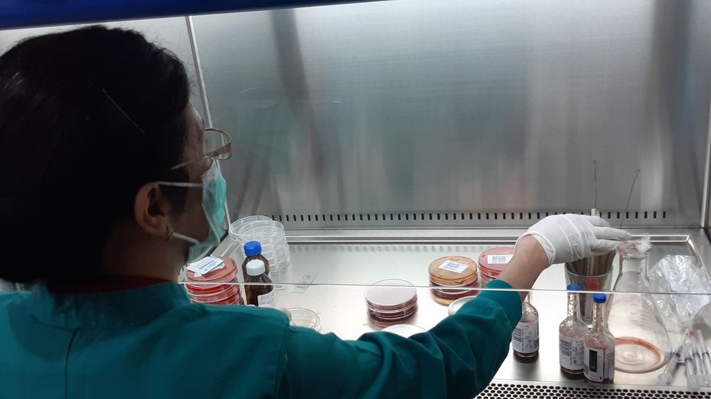  Petugas sedang memperagakan cara melakukan tes kultur di laboratorium mikrobiologi milik Rumah Sakit Mardi Rahayu, Kudus, Jawa Tengah, Senin (12/2/2024). Tes kultur berguna untuk mengetahui jenis bakteri yang menimbulkan penyakit.