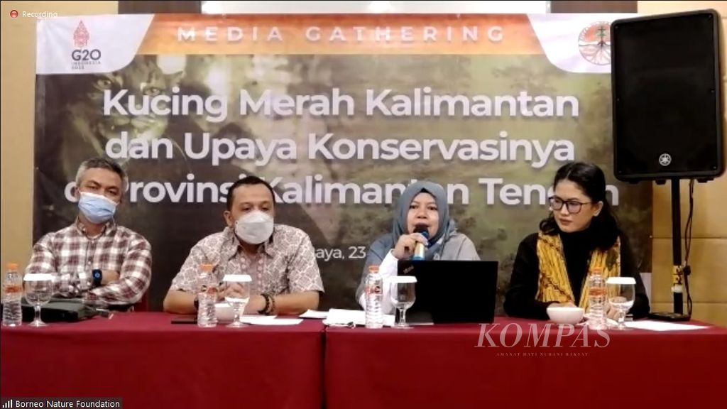Jumpa pers secara daring mengenai kegiatan <i>workshop</i> tentang pengembangan strategi konservasi spesies kucing liar di Kalimantan Tengah, Kamis (23/6/2022), di Palangkaraya, Kalteng.