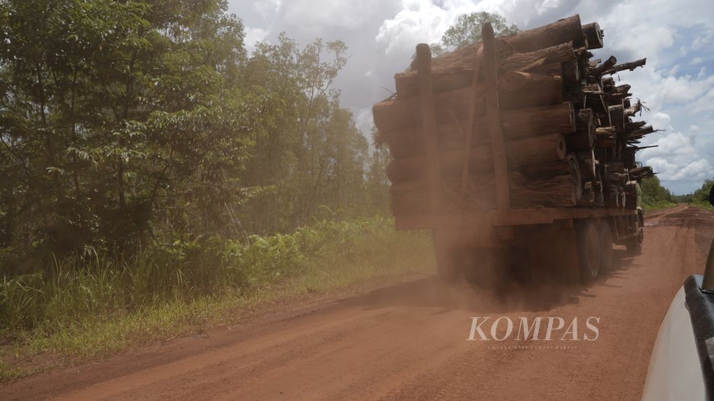 Tebangan hutan dibawa truk di Distrik Animha, Kabupaten Merauke, Papua, Rabu (9/11/2022). 