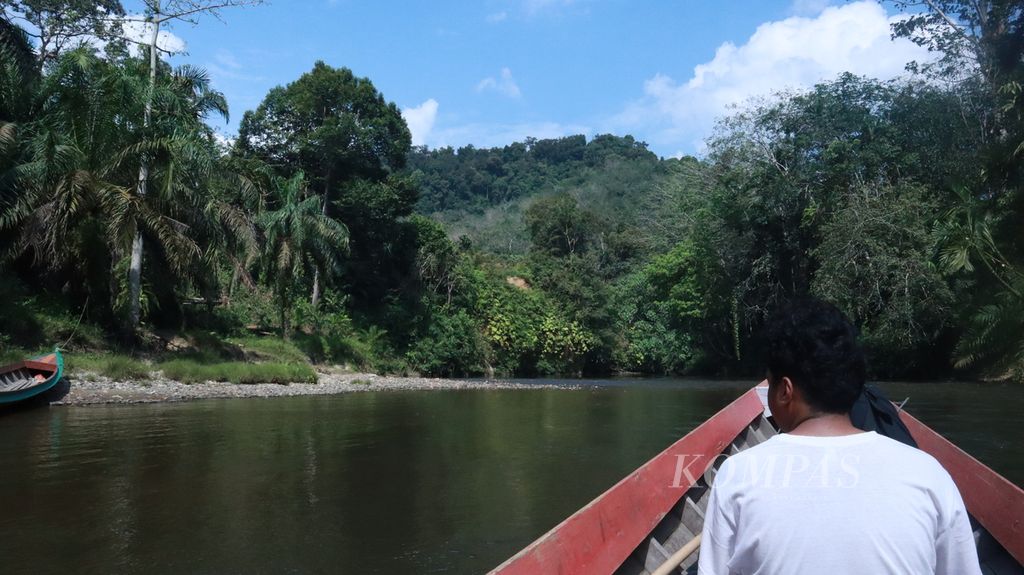 Suasana hutan dari Sungai Batang Gansal di zona tradisional Taman Nasional Bukit Tiga Puluh, Kabupaten Indragiri Hulu, Riau, Jumat (29/7/2022).