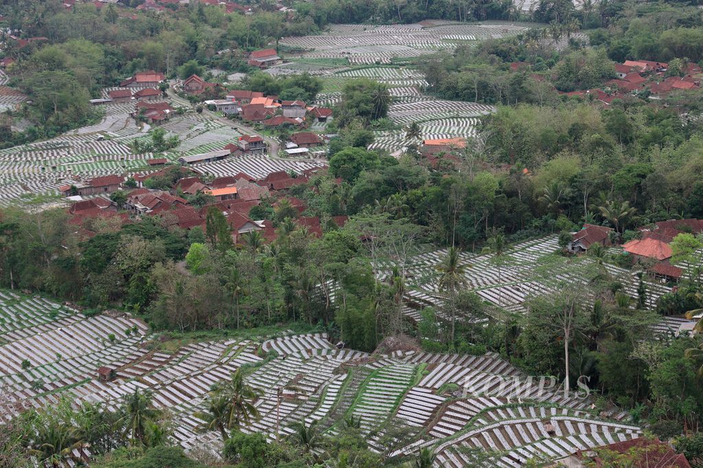 Permukiman warga yang berada di antara lahan pertanian di Desa Giritengah, Kecamatan Borobudur, Kabupaten Magelang, Senin (4/12/2023). Desa Giritengah terus mengembangkan berbagai potensi wilayahnya, khususnya pangan lokal. 