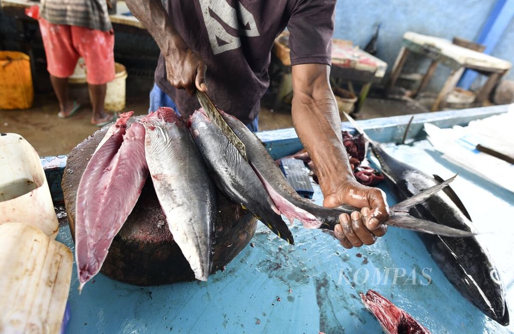 Penjual memotong ikan tuna menjadi beberapa bagian di salah satu lapak pedagang di Pasar Ikan Fandoi, Kabupaten Biak Numfor, Papua, Jumat (1/10/2021). Ikan tuna menjadi salah satu komoditas unggulan perikanan di Biak Numfor yang telah menembus pasar ekspor. Pengiriman perdana ekspor ikan ke Singapura dilakukan pada akhir Agustus 2021 lalu. Provinsi Papua memiliki 13 daerah yang menjadi lumbung perikanan, yaitu Kota Jayapura, Kabupaten Jayapura, Mamberamo Raya, Sarmi, Biak Numfor, Supiori, Kepulauan Yapen, Waropen, Nabire, Mimika, Merauke, Asmat, dan Mappi. Untuk wilayah Biak Numfor, jenis ikan yang memiliki potensi besar adalah jenis ikan tuna, tongkol, cakalang, dan kerapu.