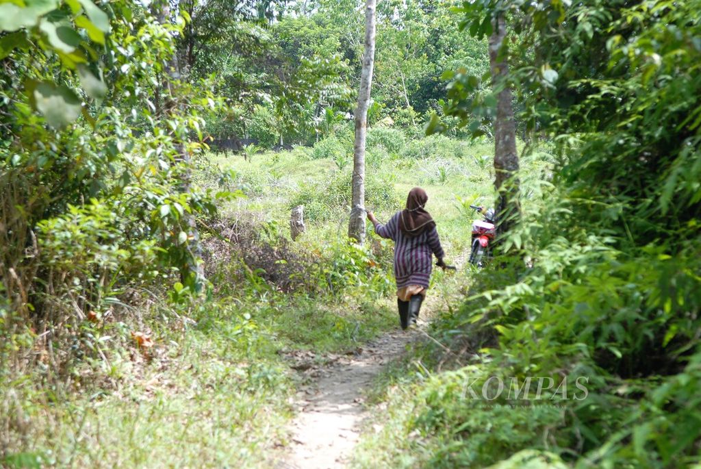 Petani pulang dari kebun karetnya di Desa Kubu Kandang, Kecamatan Pemayung, Batanghari, Jambi, Kamis (1/12/2022).